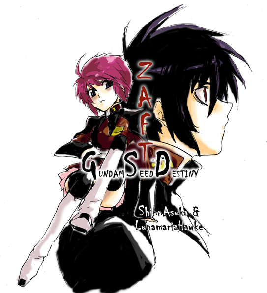 lunamaria hawke, shinn asuka, gundam, gundam seed, gundam seed destiny, 00s, 1boy, 1girl, black hair, blue eyes, couple, hetero, red eyes, red hair