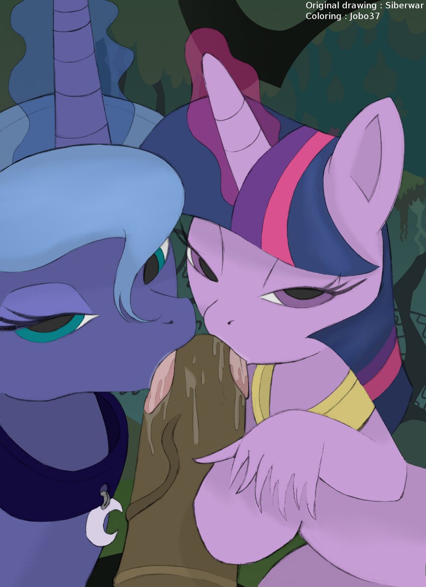Rule34 – If it exists, there is porn of it / jobo37, siberwar, princess luna (mlp), twilight sparkle (mlp) / 268236