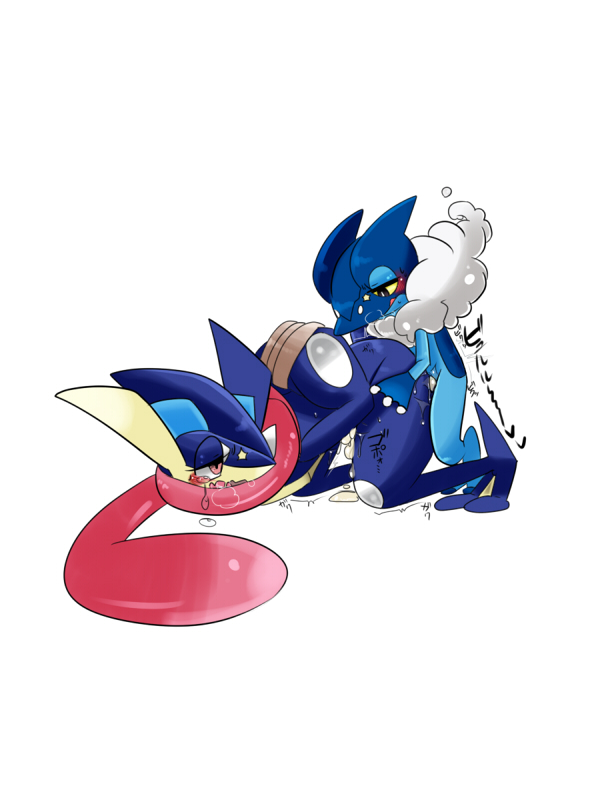 Rule34 – If it exists, there is porn of it / あぁち, frogadier, greninja / 268712