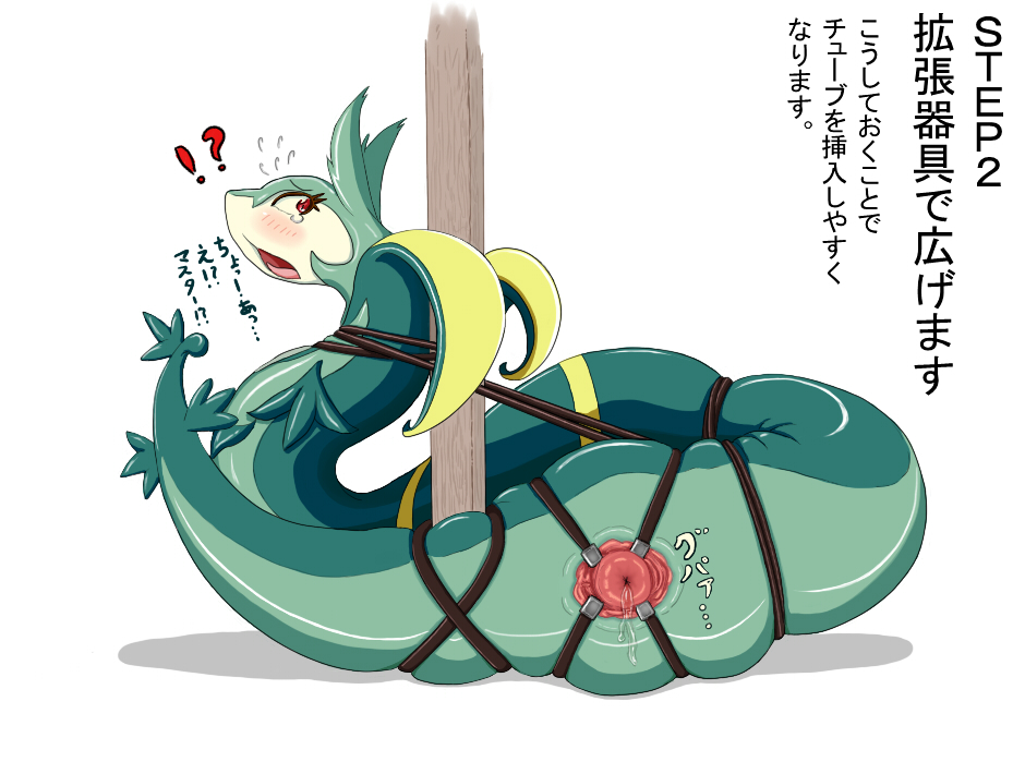 Rule34 – If it exists, there is porn of it / mofumofu (t4483667), serperior / 275354