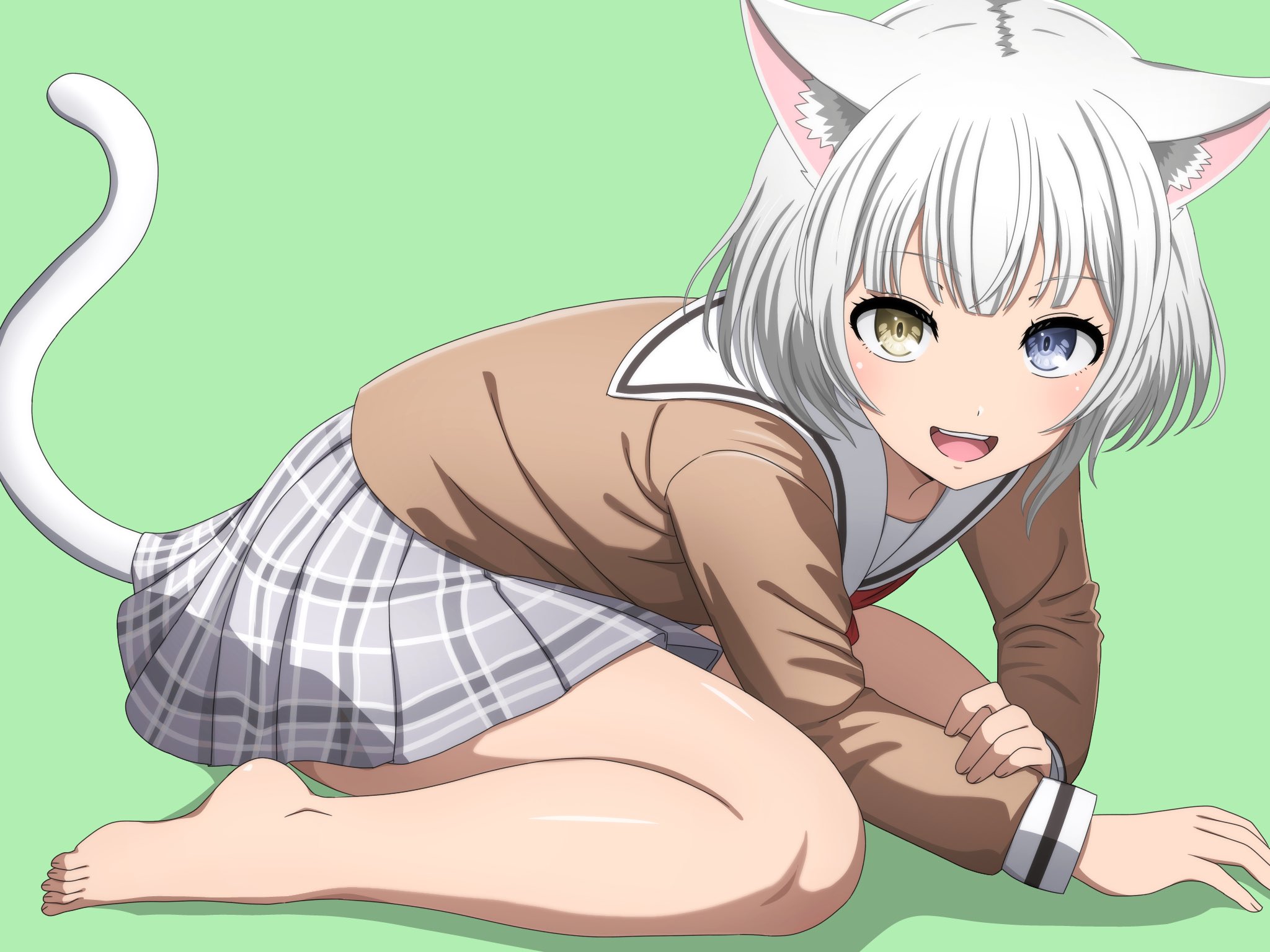 noshimurin, kaname raana, bang dream!, bang dream! it's mygo!!!!!, highres, 1girl, animal ears, barefoot, blue eyes, brown jacket, cat ears, cat girl, cat tail, green background, green eyes, hanasakigawa school uniform, heterochromia, jacket, looking at viewer, open mouth, school uniform, shirt, short hair, simple background, skirt, solo, tail, teeth, upper teeth only, white hair, white shirt