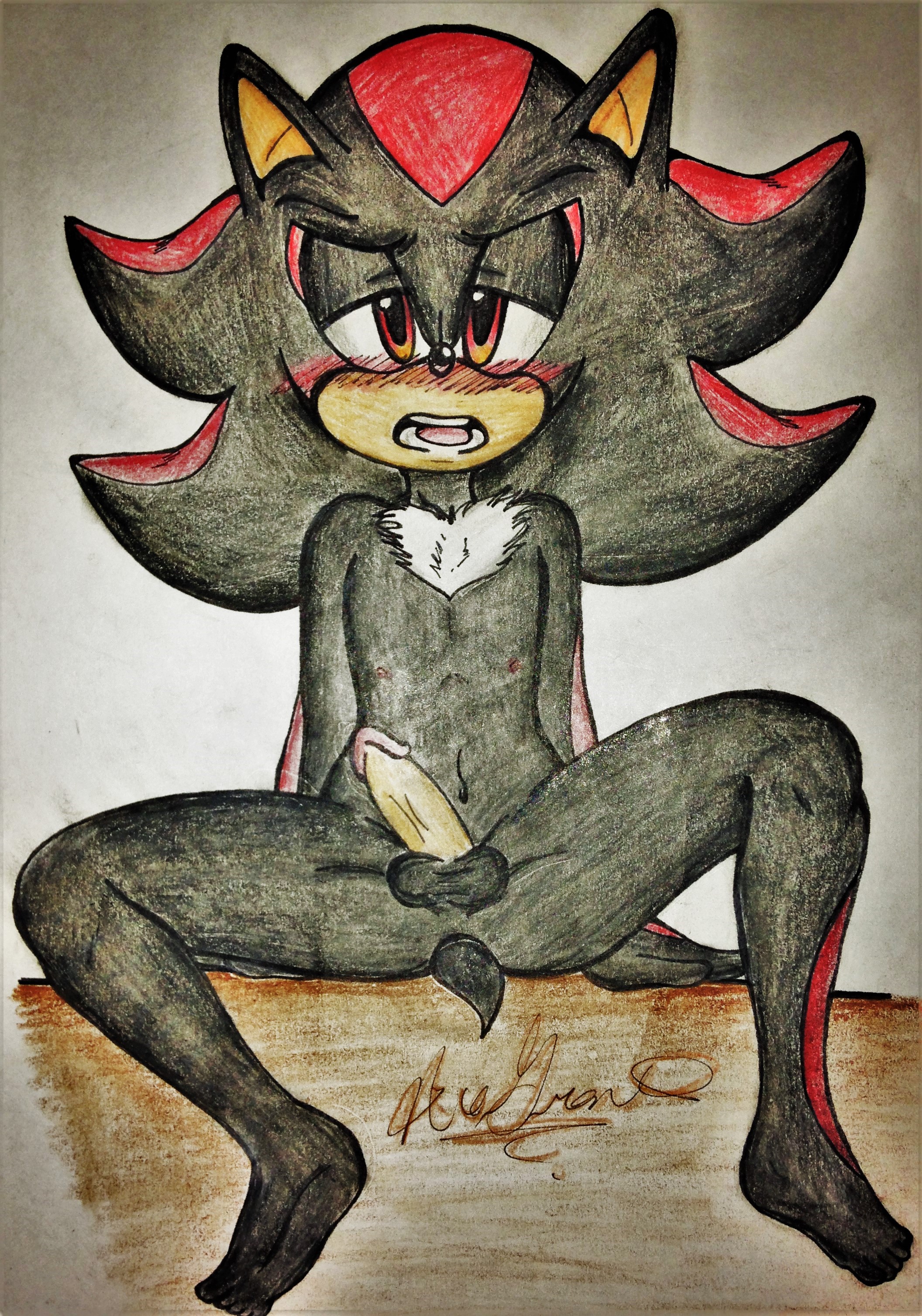 Rule34 – If it exists, there is porn of it / shadow the hedgehog / 277829