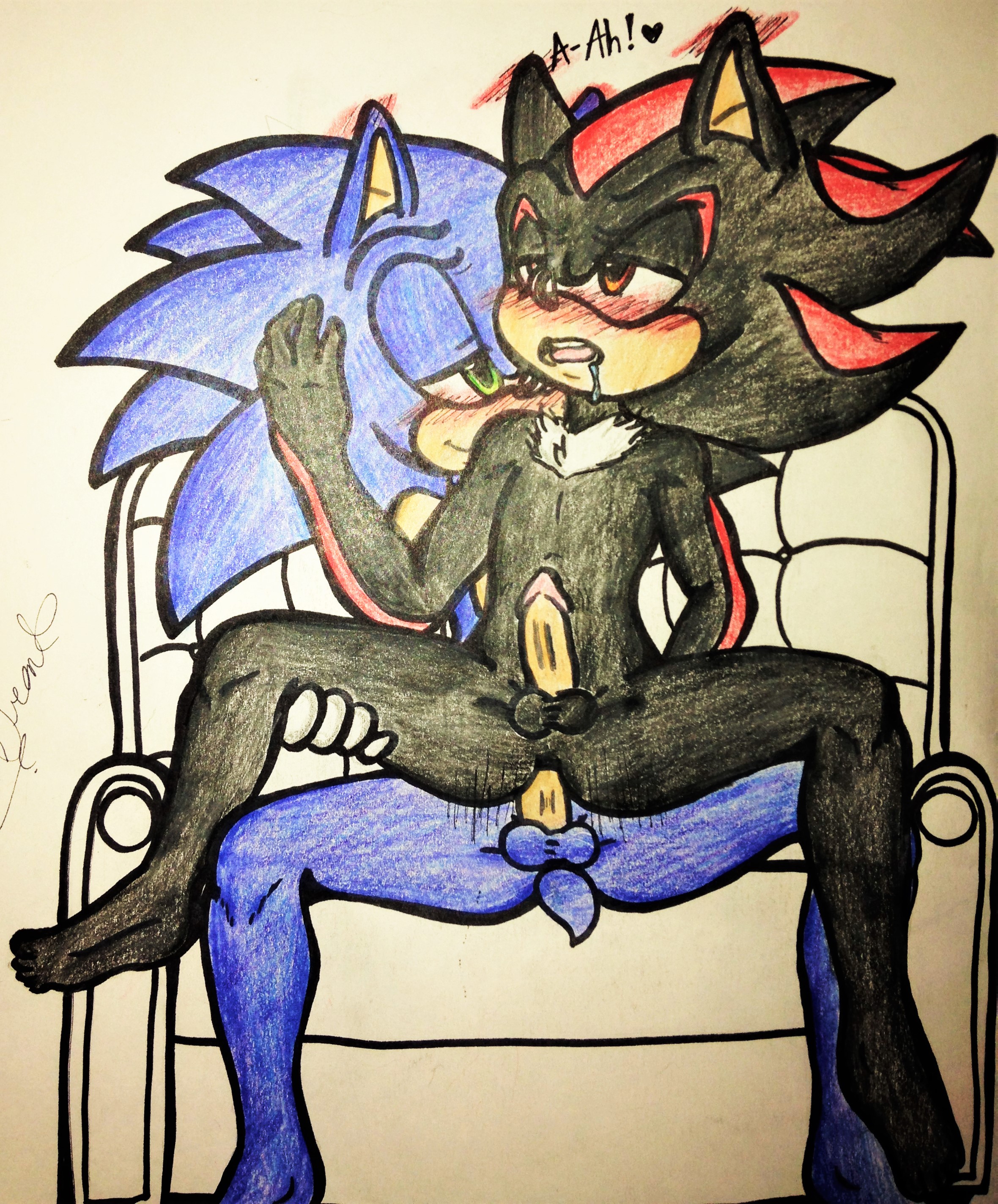 Rule34 – If it exists, there is porn of it / shadow the hedgehog, sonic the hedgehog / 277851