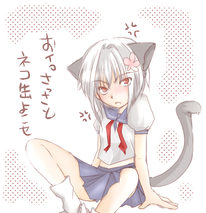 sukara-san, accelerator (toaru majutsu no index), suzushina yuriko, toaru majutsu no index, toaru majutsu no index: old testament, check translation, translation request, 00s, 1girl, animal ears, blush, cat ears, female focus, genderswap, genderswap (mtf), red eyes, school uniform, socks, solo, white hair