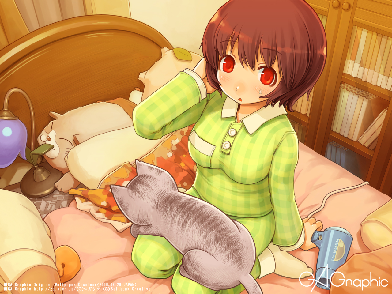 shigatake, gagraphic, 1girl, adjusting hair, bed, blush, book, breast pocket, brown hair, cat, female focus, from above, hair dryer, lamp, leaf, looking at viewer, pajamas, pocket, red eyes, short hair, sitting, solo, wariza