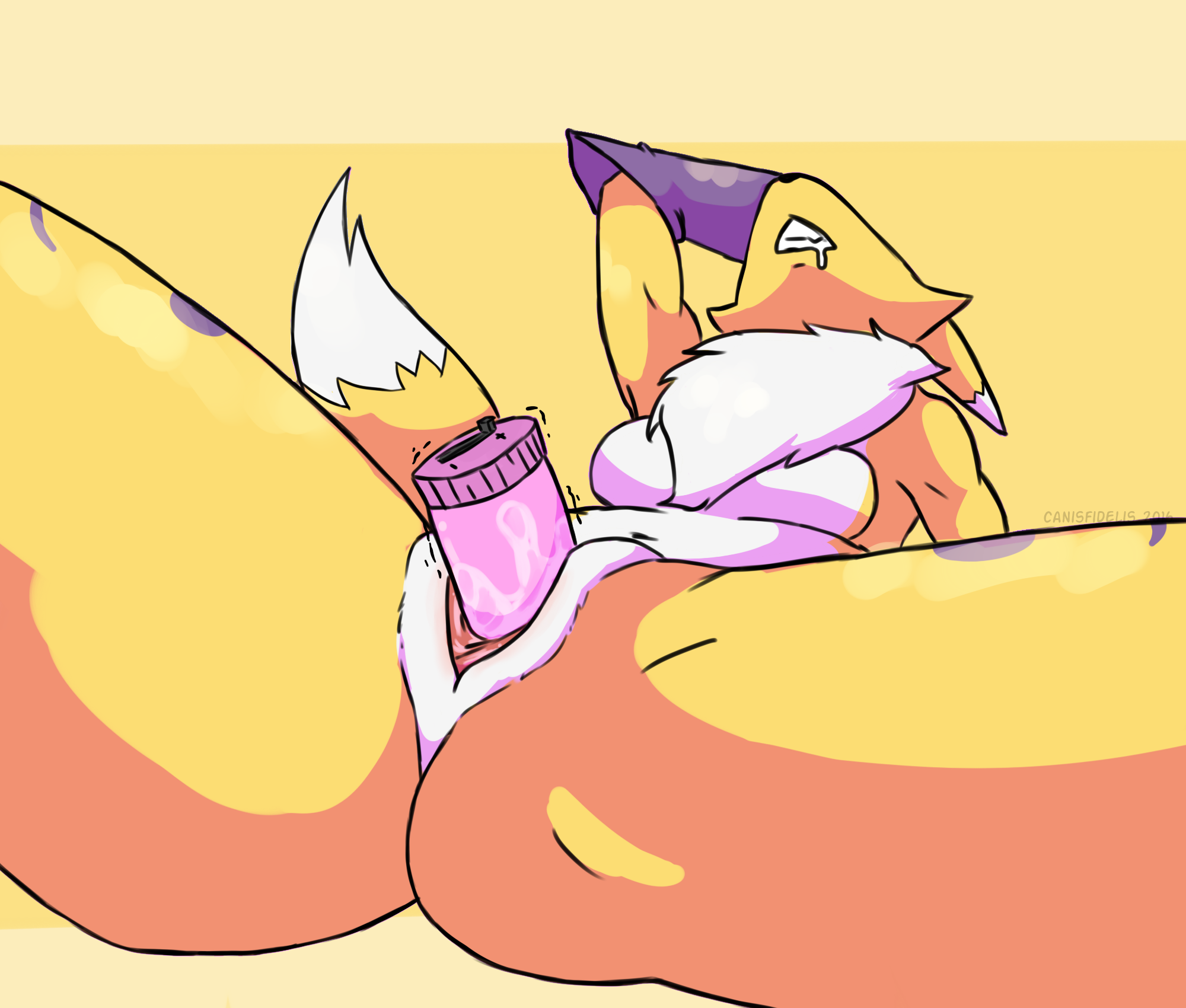 Rule34 – If it exists, there is porn of it / canisfidelis, renamon / 279663