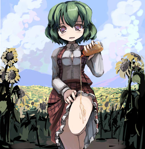 gatau, kazami yuuka, touhou, 1girl, barefoot, breasts, clothes lift, cloud, day, female focus, field, flower, flower field, green hair, honey, legs, medium breasts, plaid clothes, plaid skirt, plaid vest, red eyes, sexually suggestive, short hair, skirt, skirt lift, skirt set, solo, sunflower, sunflower field, vest