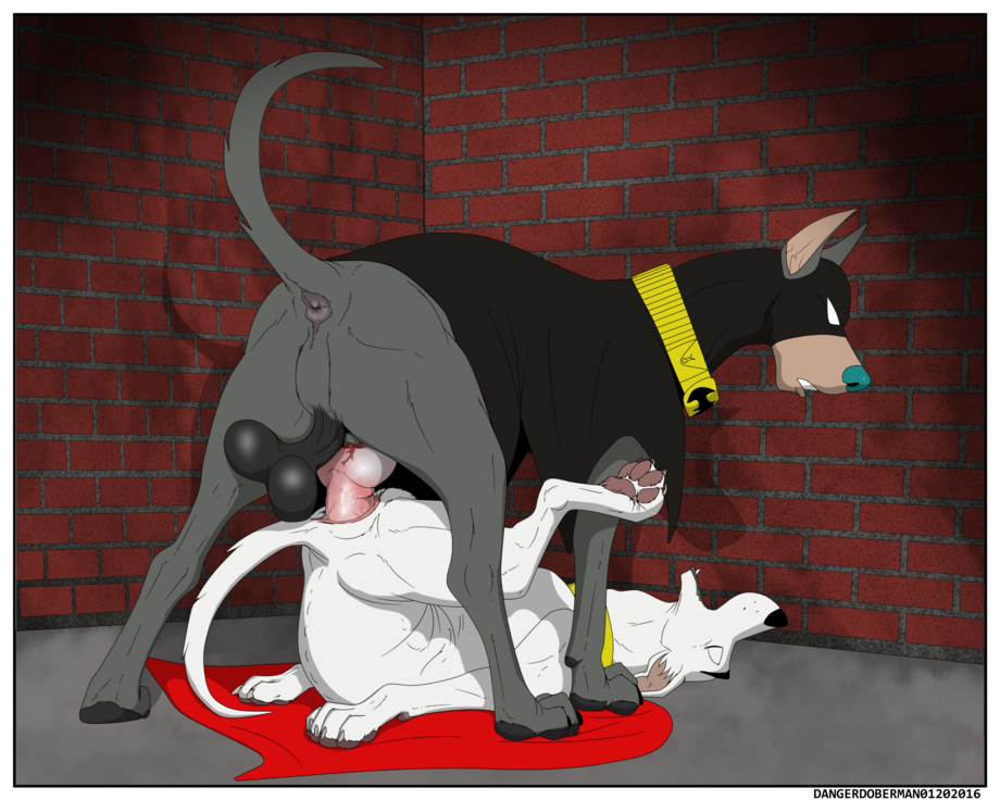 Rule34 – If it exists, there is porn of it / dangerdoberman, ace, ace the bathound, krypto / 280303