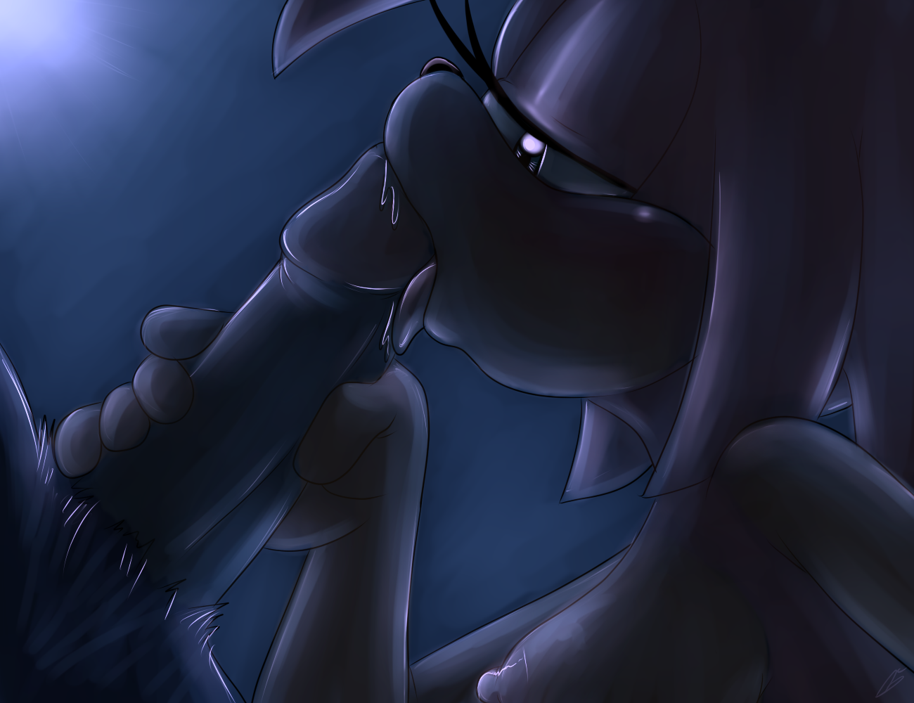 Rule34 – If it exists, there is porn of it / bluechika, amy rose, sonic the hedgehog, sonic the werehog / 280502