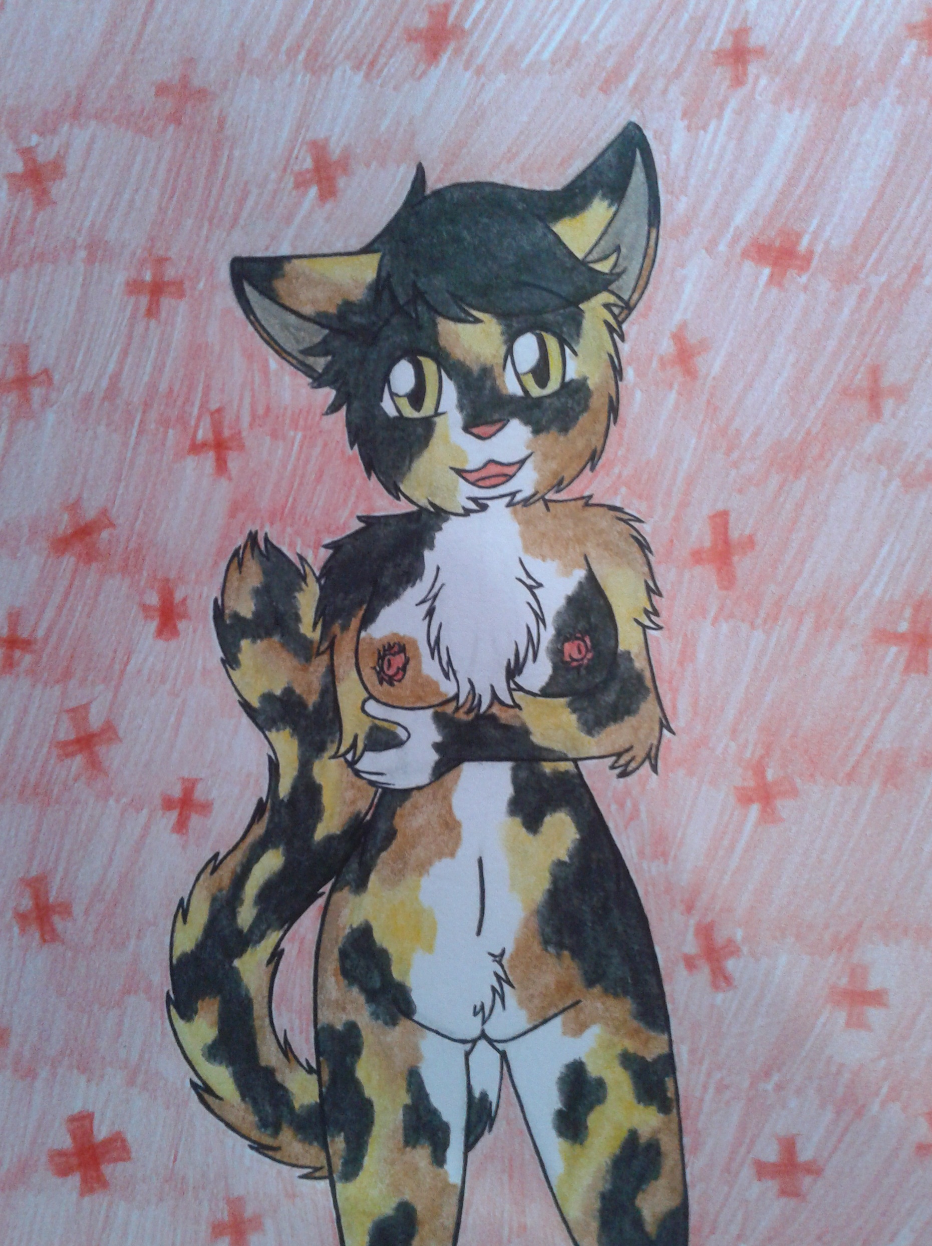 Rule34 – If it exists, there is porn of it / blackcatz, spottedleaf (warriors) / 282349