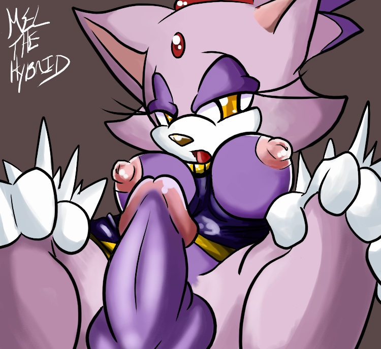 Rule34 – If it exists, there is porn of it / mel the hybrid, blaze the cat / 283436