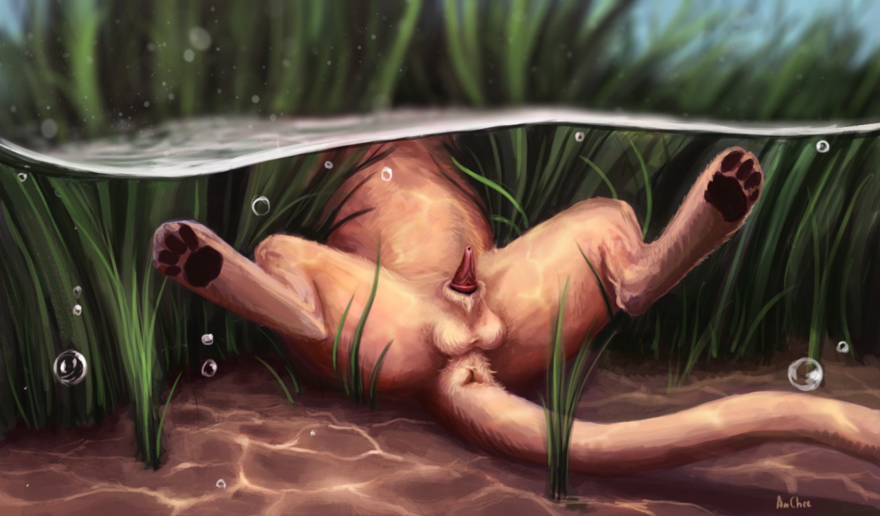 Rule34 – If it exists, there is porn of it / anchee / 283705