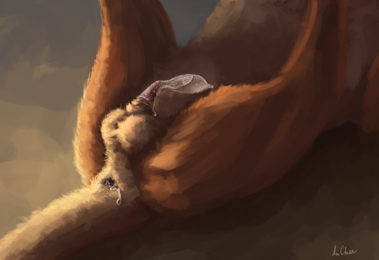 Rule34 – If it exists, there is porn of it / anchee / 283866