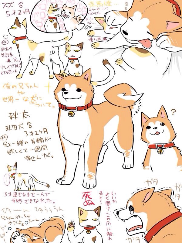 Rule34 – If it exists, there is porn of it / / 284418