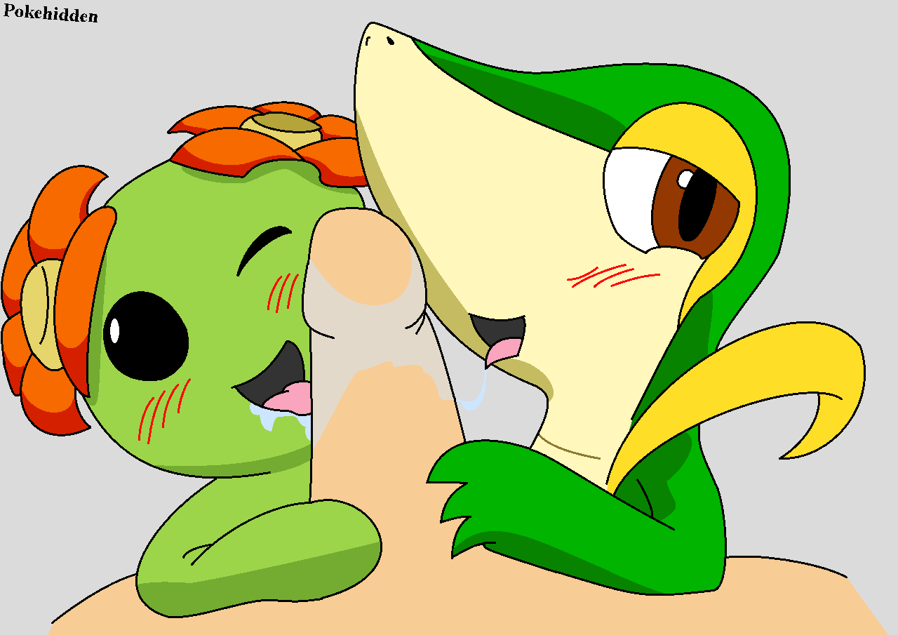 Rule34 – If it exists, there is porn of it / pokehidden, bellossom, snivy / 284750