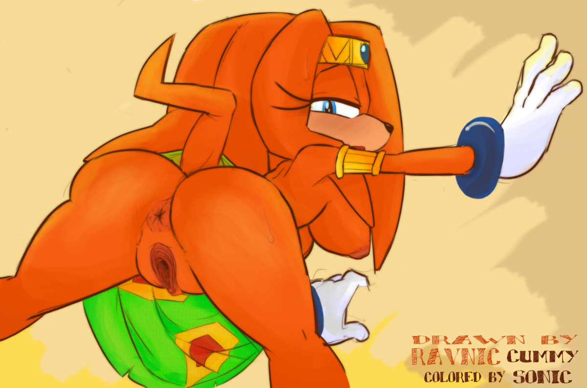 Rule34 – If it exists, there is porn of it / cummysonic, ravnic, tikal the echidna / 285958