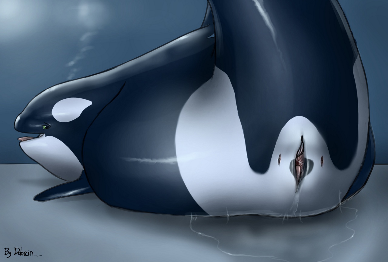 Rule34 – If it exists, there is porn of it / dolorcin / 287653