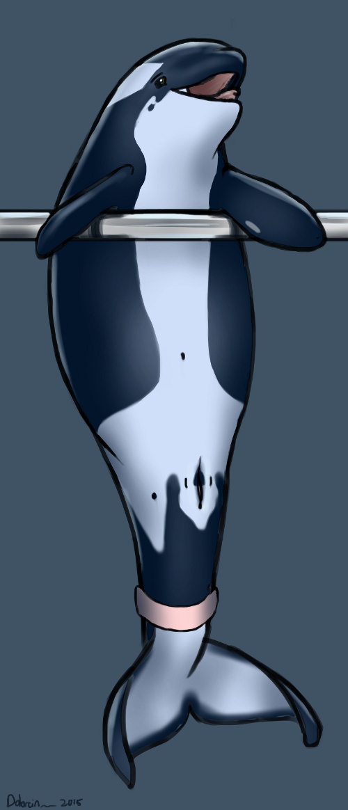 Rule34 – If it exists, there is porn of it / dolorcin / 287660