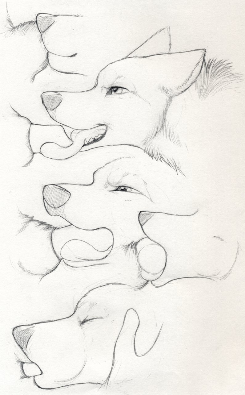 Rule34 – If it exists, there is porn of it / paper-wings / 288397