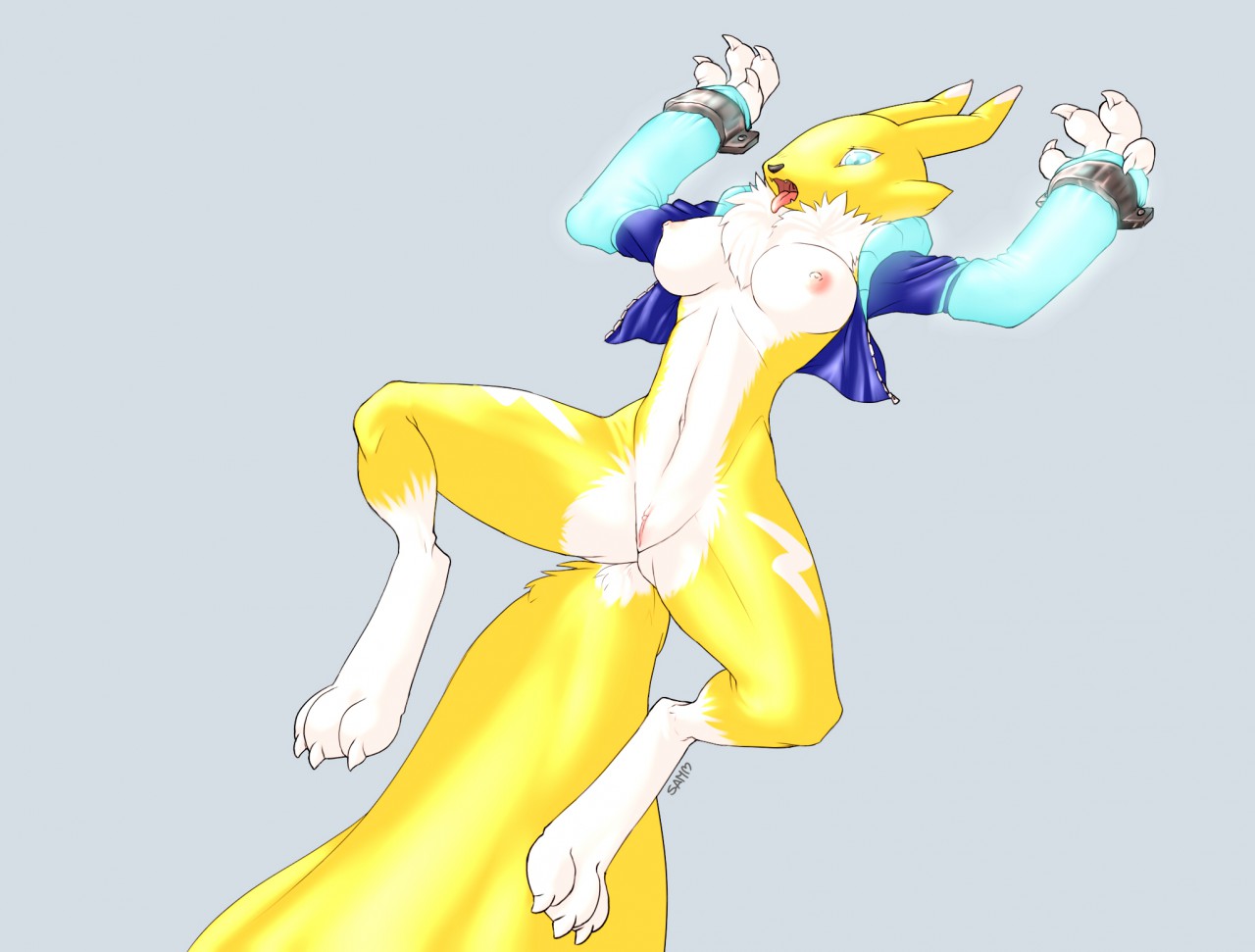 Rule34 – If it exists, there is porn of it / thunder-renamon, renamon / 288454