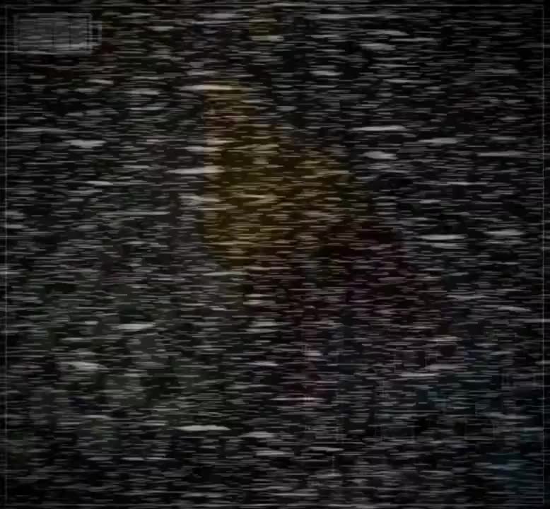 Rule34 – If it exists, there is porn of it / toy chica (fnaf) / 8702828