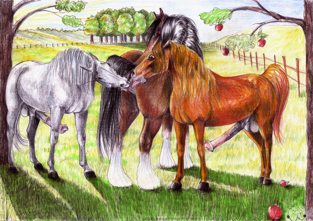 Rule34 – If it exists, there is porn of it / boobcat / 288746