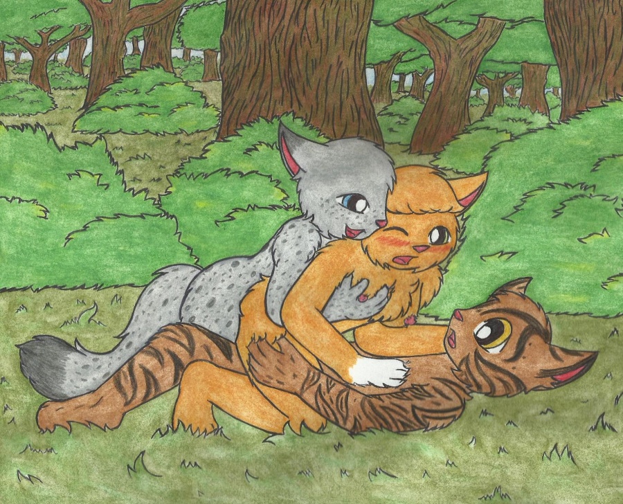 Rule34 – If it exists, there is porn of it / blackcatz, ashfur (warriors), bramblestar (warriors), squirrelflight (warriors), tabby / 289580