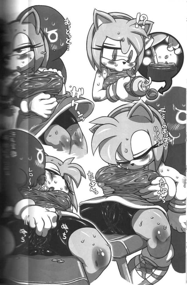 Rule34 – If it exists, there is porn of it / nezumi, amy rose / 290691