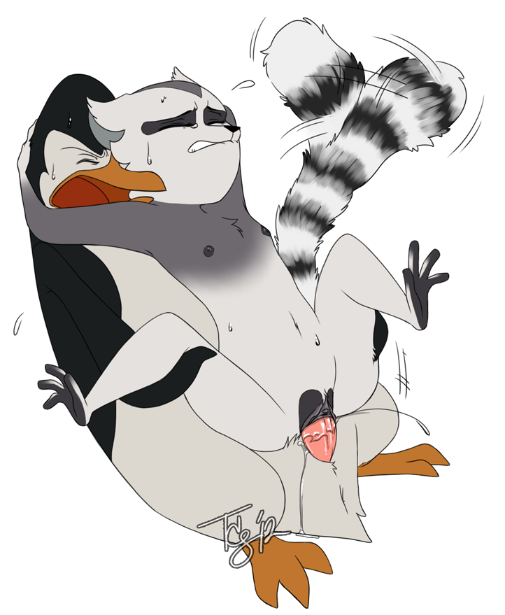 Rule34 – If it exists, there is porn of it / tsuyagami, unknown artist, king julien, kowalski, ringtail / 291279