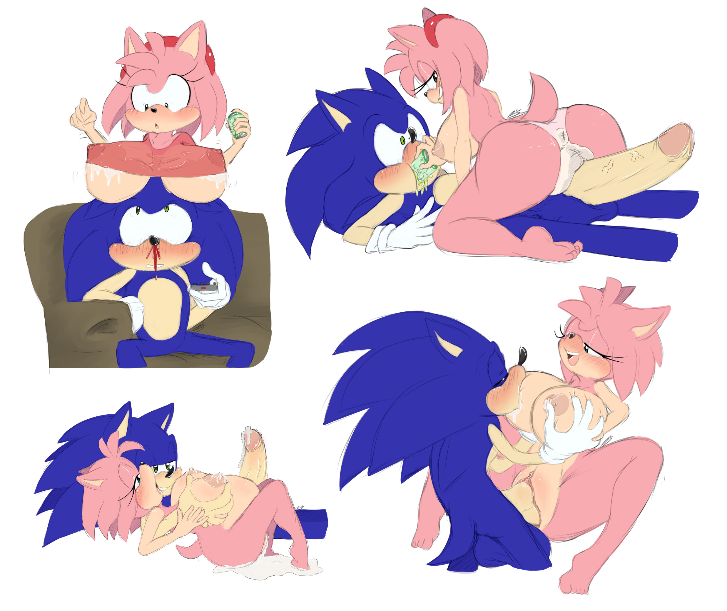 Rule34 – If it exists, there is porn of it / bluechika, amy rose, sonic the hedgehog / 8703375