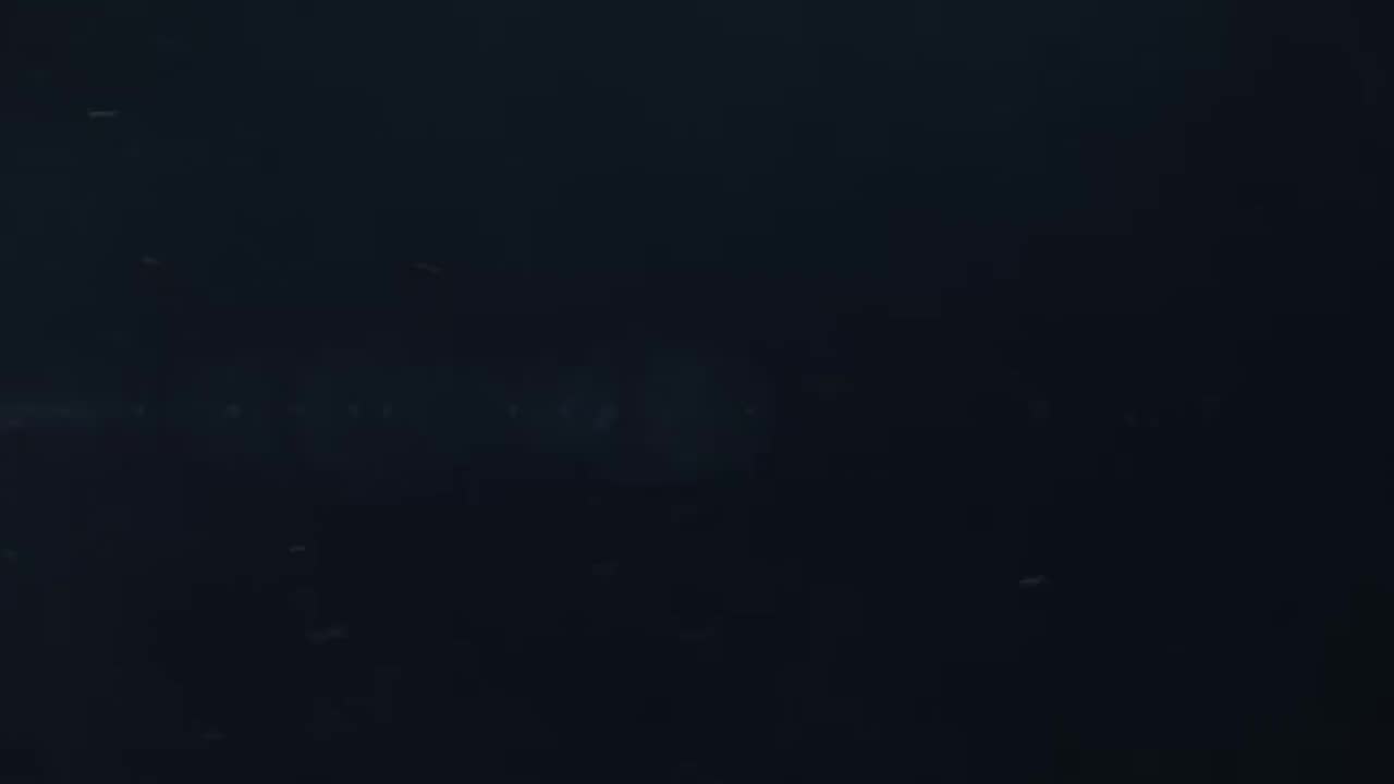 Rule34 – If it exists, there is porn of it / / 8703452