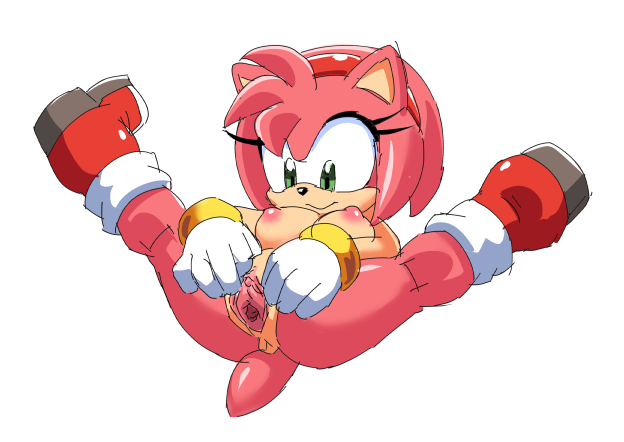 Rule34 – If it exists, there is porn of it / coolblue, amy rose / 294488