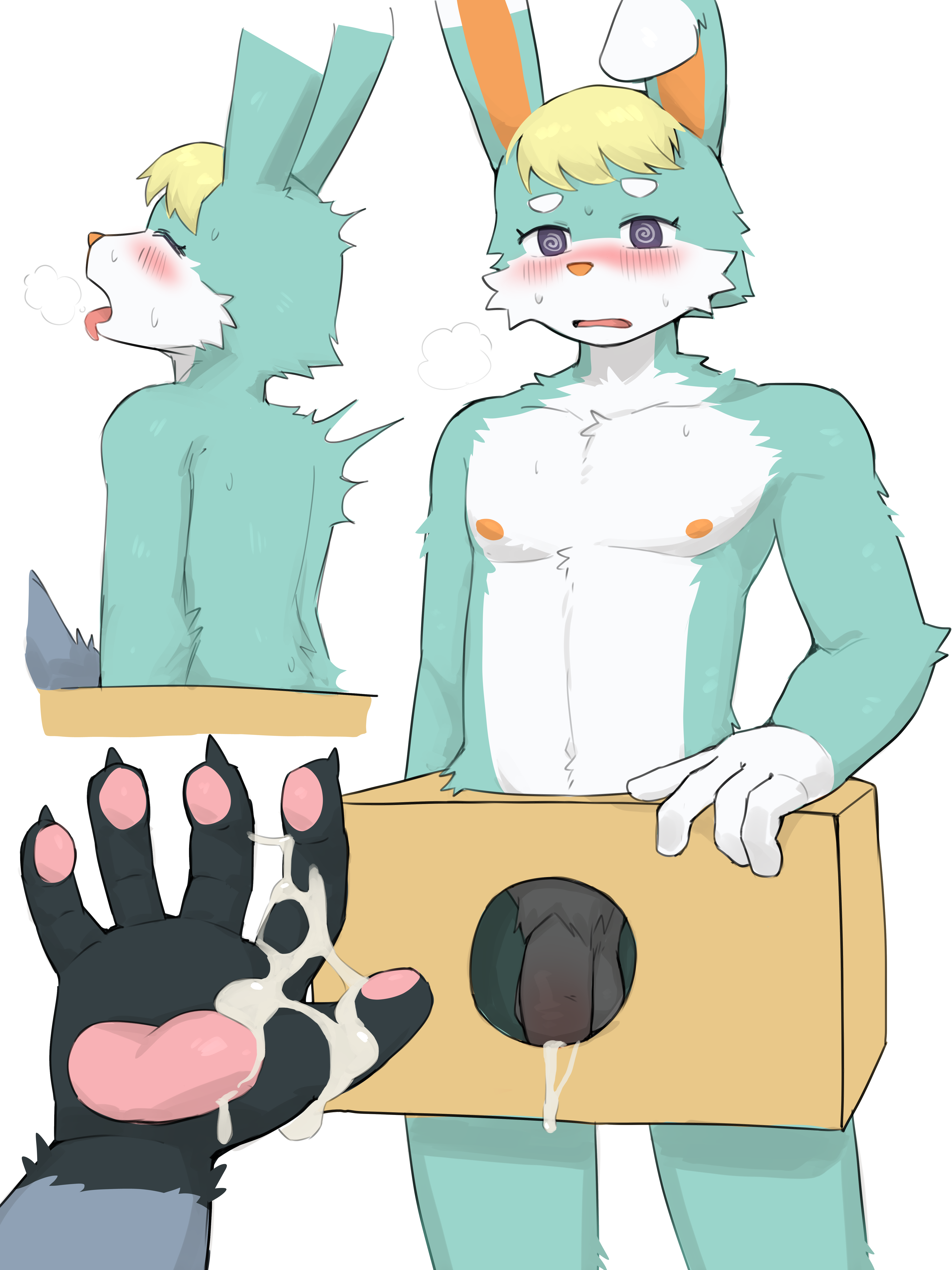 Rule34 – If it exists, there is porn of it / raymond (animal crossing) / 8704158