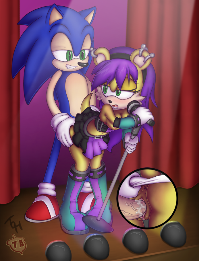 Rule34 – If it exists, there is porn of it / the other half, mina mongoose, sonic the hedgehog / 296014