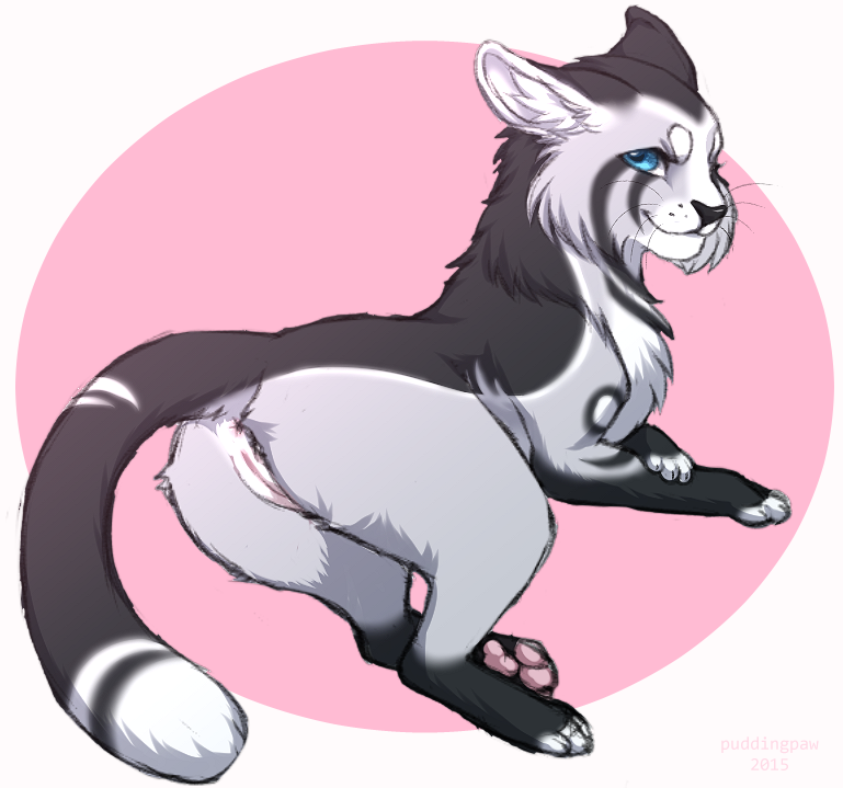 Rule34 – If it exists, there is porn of it / puddingpaw / 296522