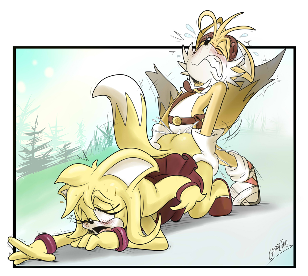 Rule34 – If it exists, there is porn of it / greenhill, tails, zooey the fox / 297956