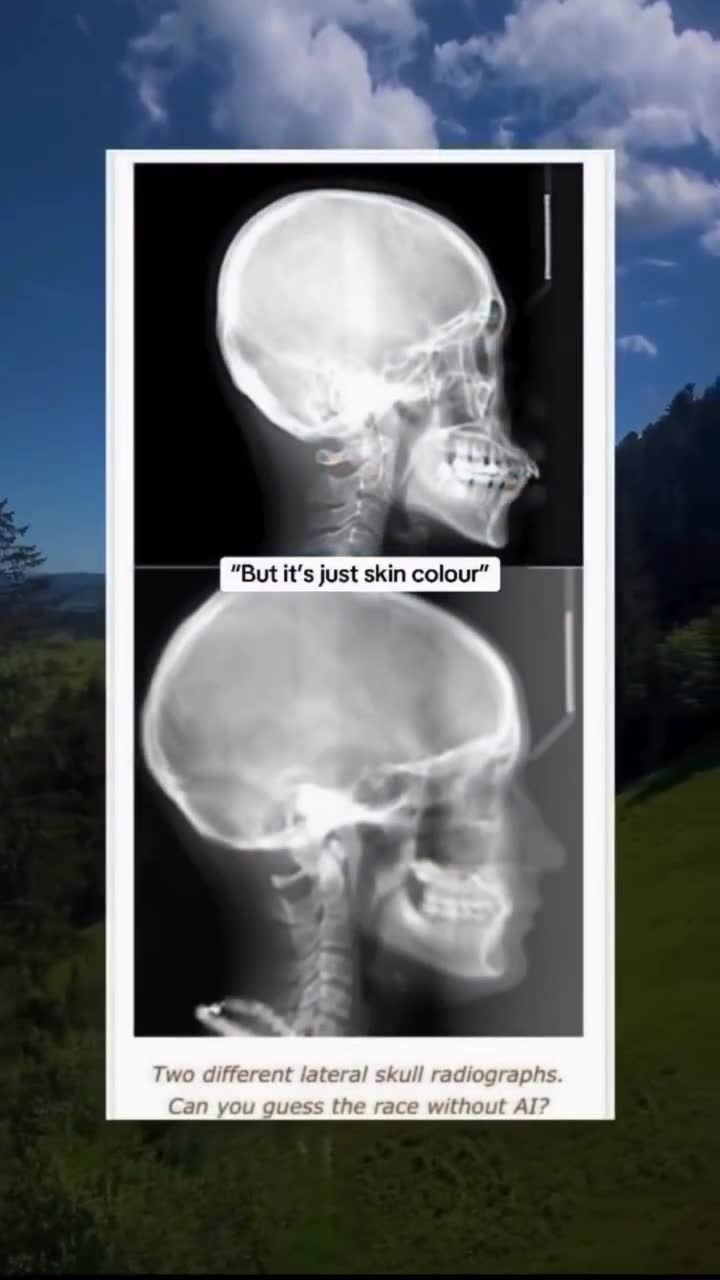 Rule34 – If it exists, there is porn of it / sigma / 8704718