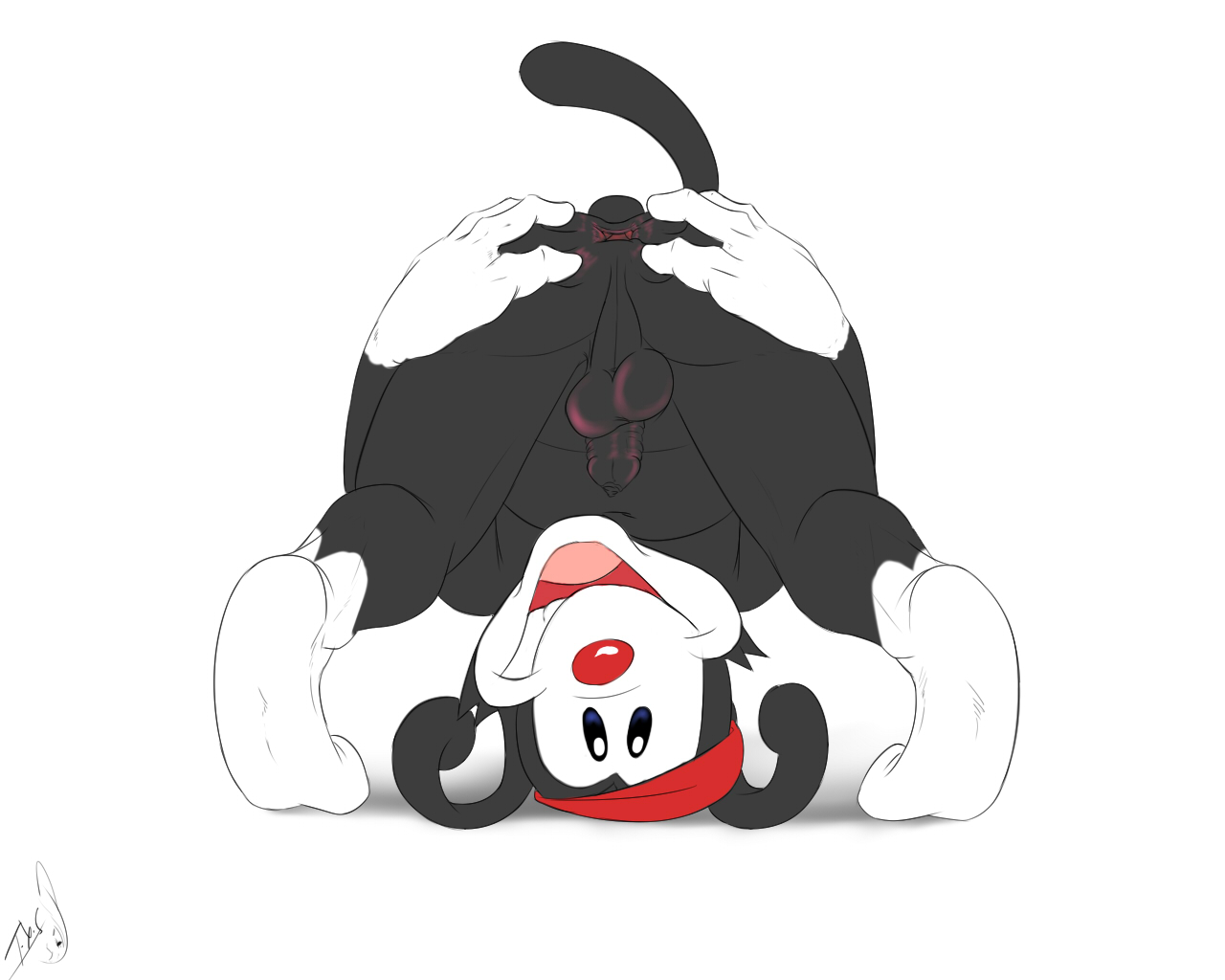 Rule34 – If it exists, there is porn of it / seyrmo, wakko warner / 302041