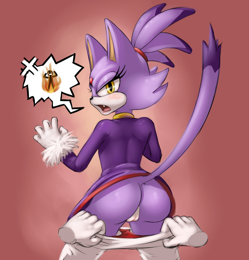 Rule34 – If it exists, there is porn of it / drxsmokey, blaze the cat / 302472