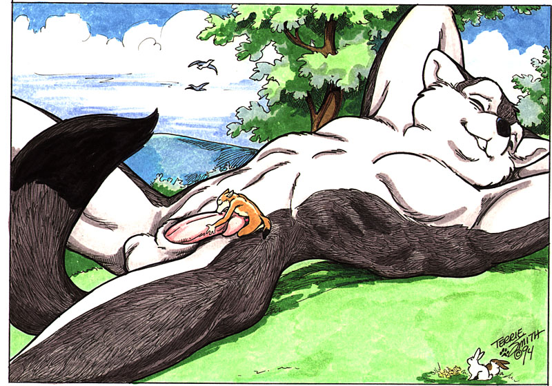 Rule34 – If it exists, there is porn of it / terrie smith, rogue / 303047