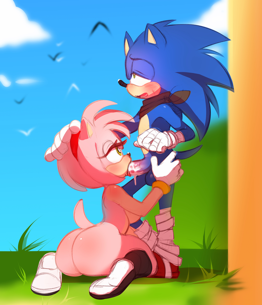 Rule34 – If it exists, there is porn of it / higgyy, amy rose, sonic the hedgehog / 8705105