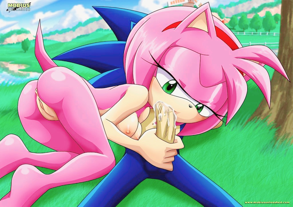 Rule34 – If it exists, there is porn of it / palcomix, amy rose, sonic the hedgehog / 8705134