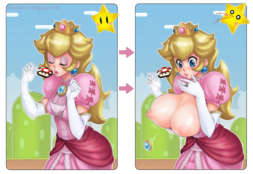 Rule34 – If it exists, there is porn of it / bloocarrot, princess peach / 304630