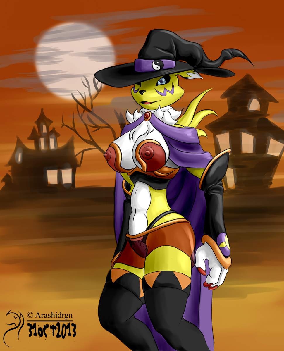 Rule34 – If it exists, there is porn of it / arashidrgn, renamon / 304759