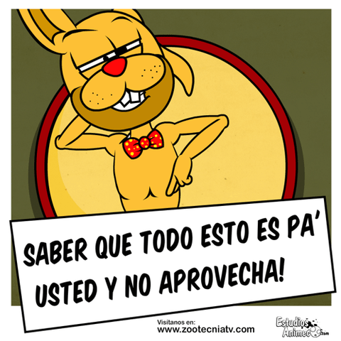 Rule34 – If it exists, there is porn of it / vitamina / 305394