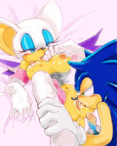 Rule34 – If it exists, there is porn of it / rouge the bat, sonic the hedgehog / 305790