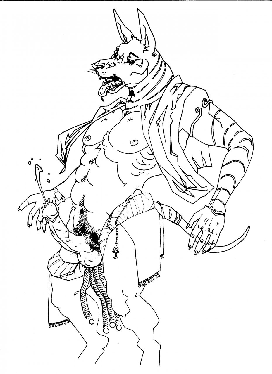 Rule34 – If it exists, there is porn of it / badcoyote, anubis / 306272