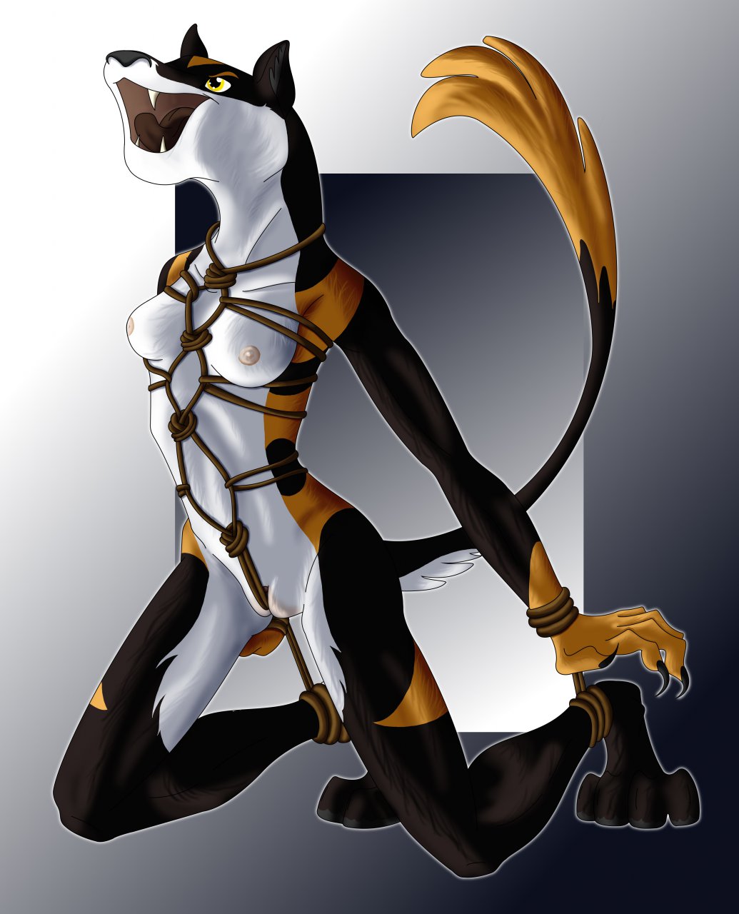 Rule34 – If it exists, there is porn of it / ascar angainor / 306504