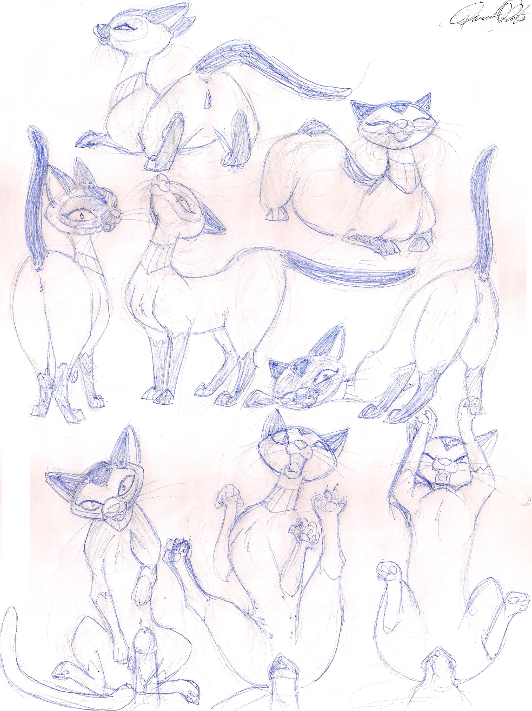 Rule34 – If it exists, there is porn of it / queensmate, isis / 306633