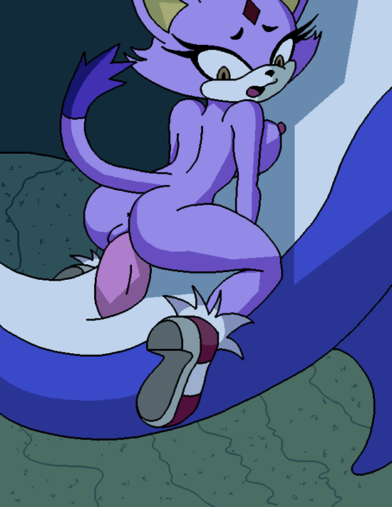 Rule34 – If it exists, there is porn of it / dboy, blaze the cat / 306729